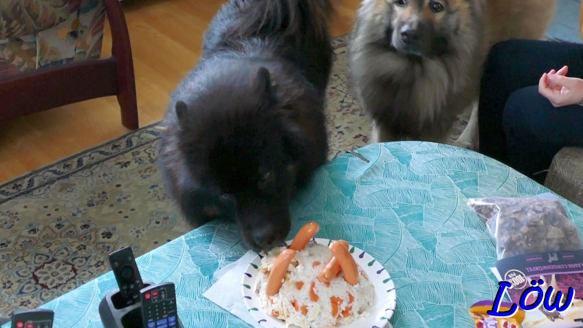 25.1.2026 - Torte
